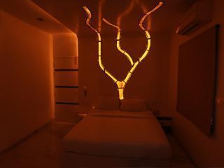 Temple Tree Studios 班加罗尔 外观 照片